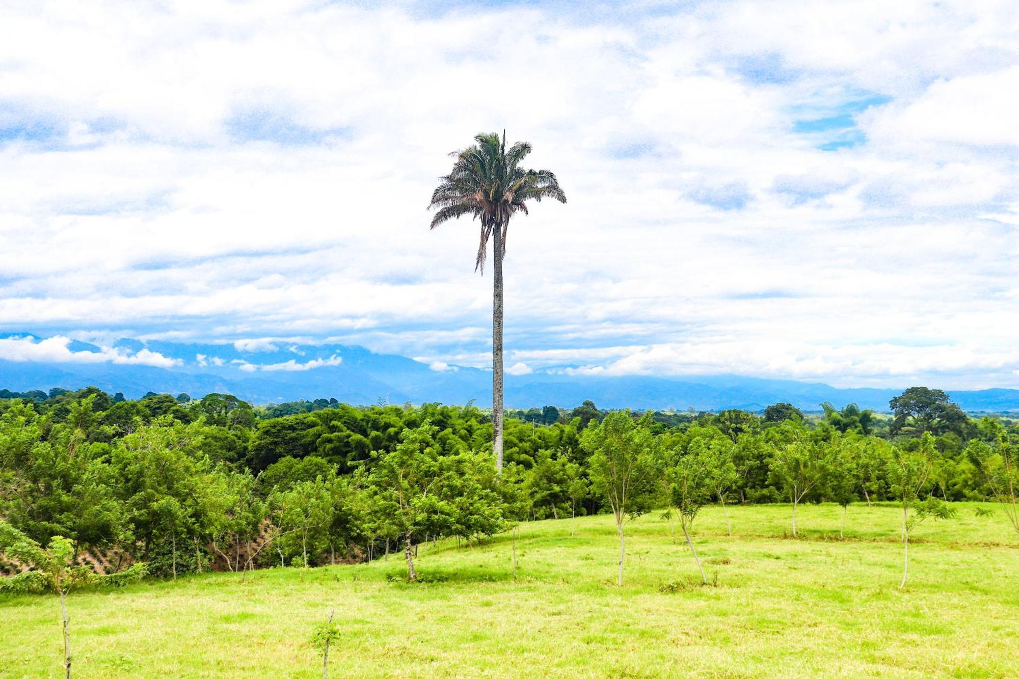 Hotel Quindio Campestre Montenegro Buitenkant foto